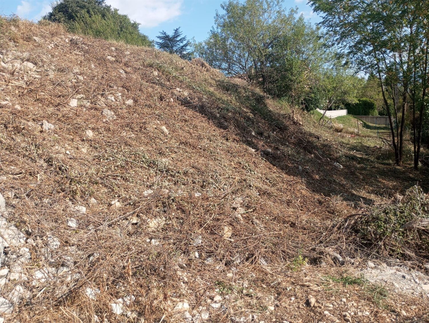 Terrain en pente entièrement débroussaillé et broyé