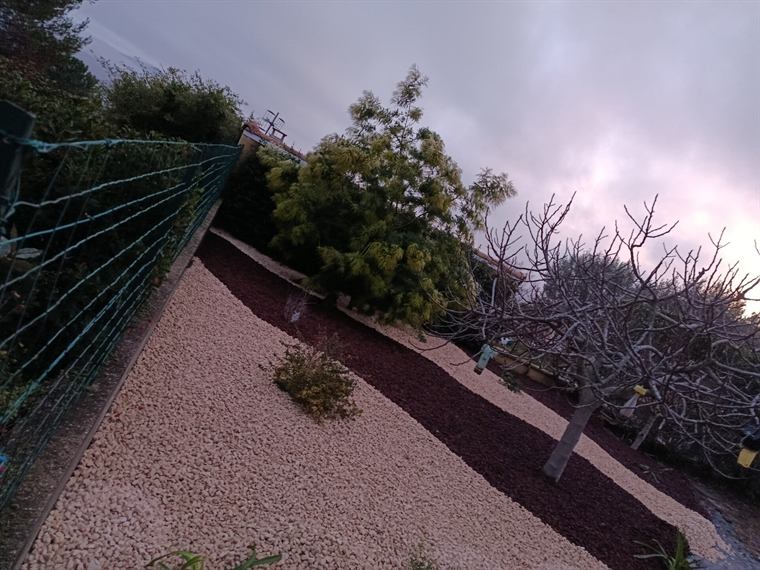 Massif paillé et allée en gravier au crépuscule