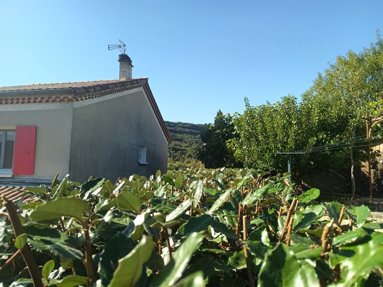 Taille d'un massif d'arbustes devant une maison