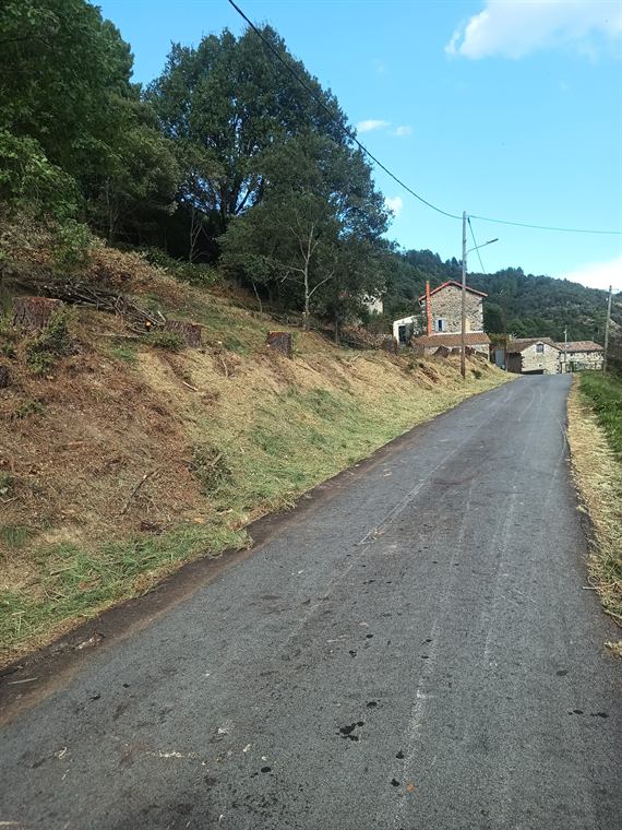 Talus débroussaillé le long d'une voie communale