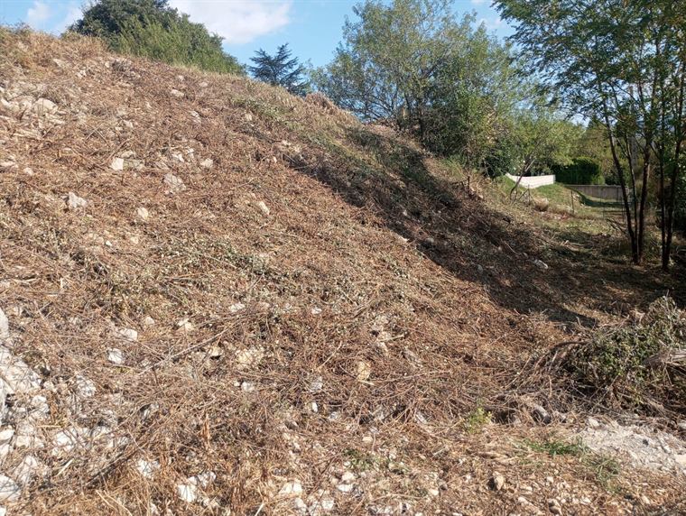 Terrain en pente broyé après débroussaillage